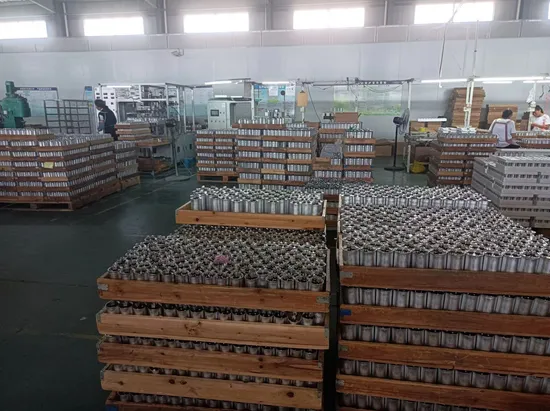 AC Motor Capacitor Washing Machine Start Run Capacitor Cbb65-1